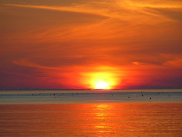 Тиморское море оранжевое