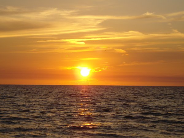 Оранжевое море