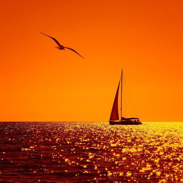 Оранжевое море