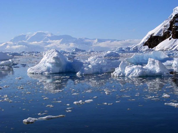 Северный Ледовитый океан Берингово море