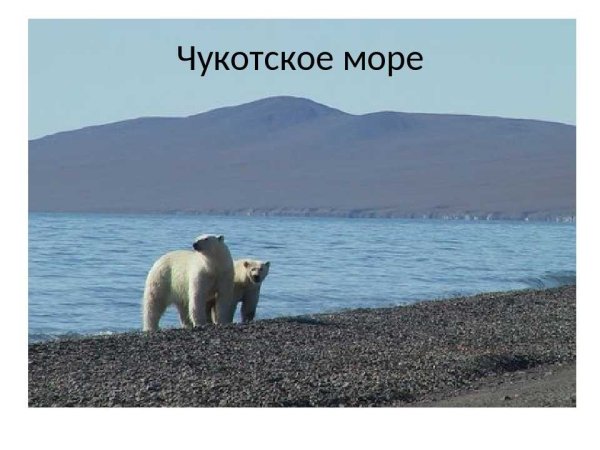 Остров Врангеля в Чукотском море