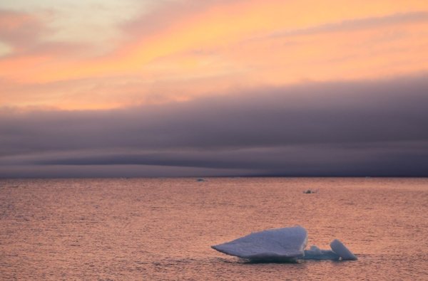 Мыс Шмидта море