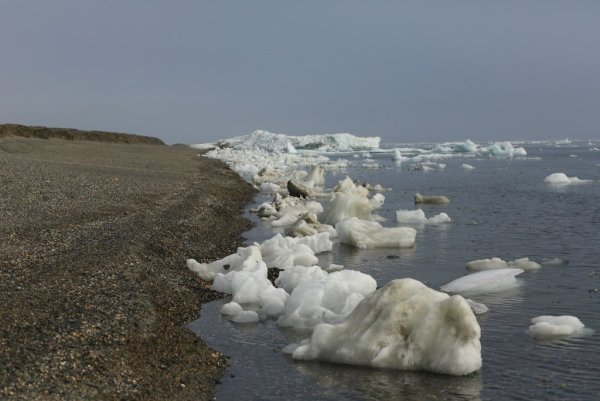 Восточно Чукотское море