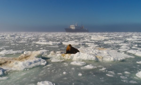 Береговая линия Чукотского моря