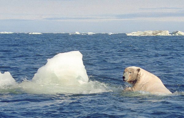 Камчатка побережье Берингово море