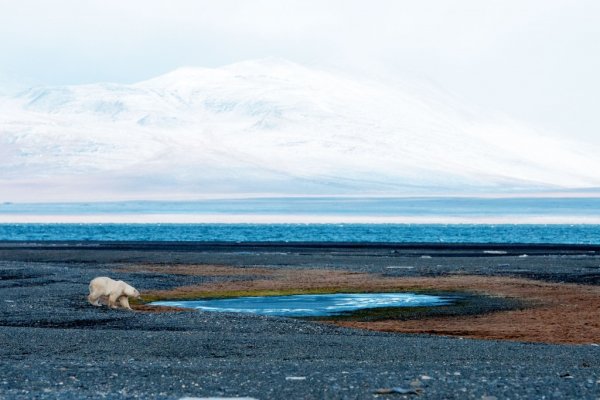 Чаунская губа Восточно-Сибирское море