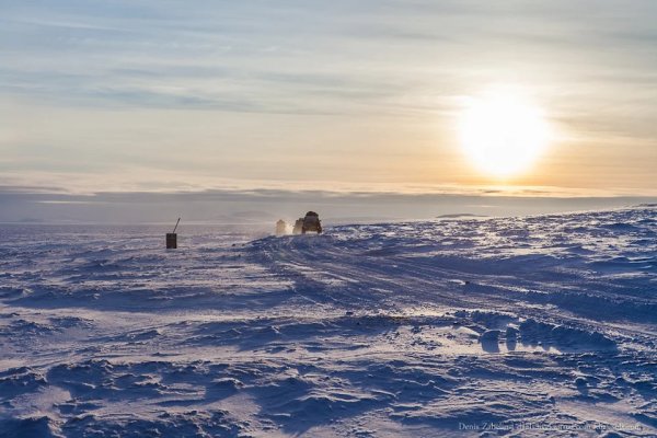 Чукотка побережье Анадырского залива летом