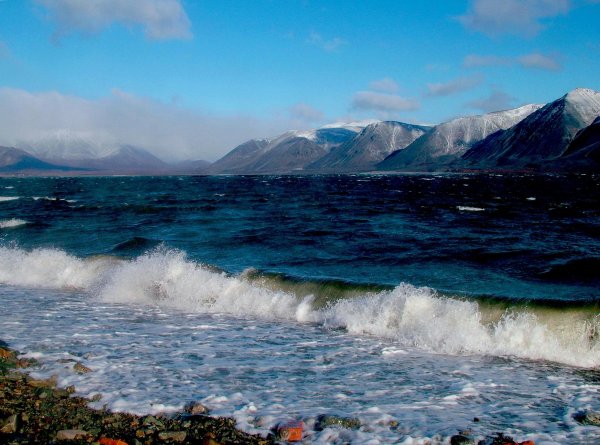 Ледяной Покров Северного Ледовитого океана