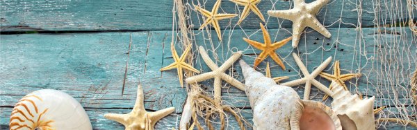 Фон морская тематика