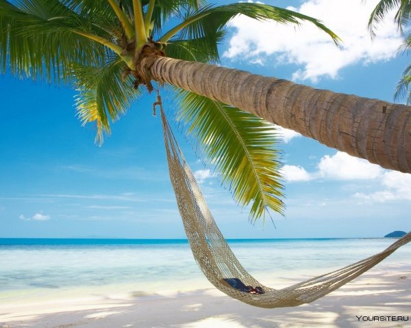 Мальдивы, океан, пальмы, бунгало