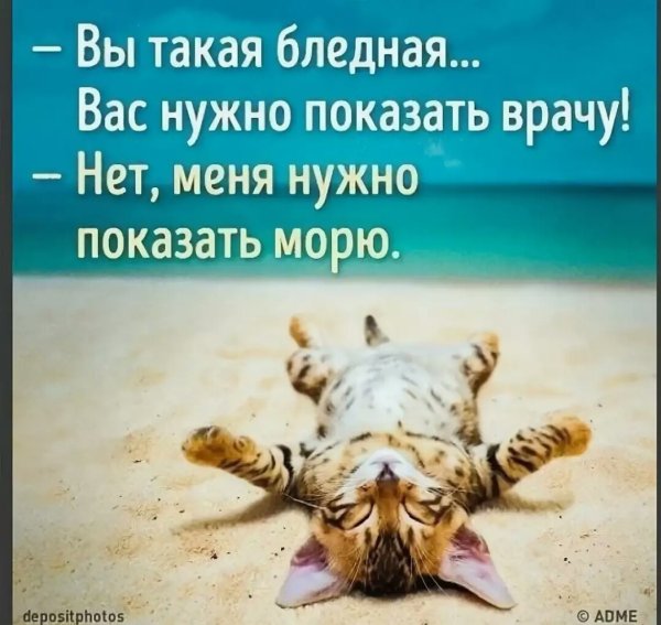 Приколы про отдых на мор