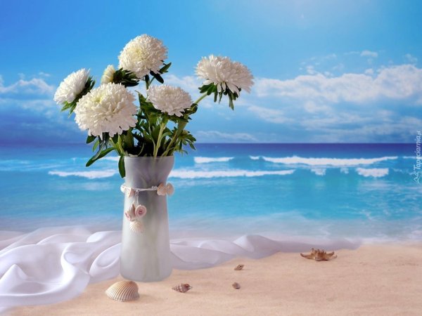 Эстетика спокойствия