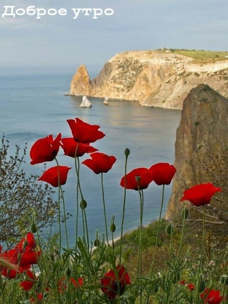С добрым утром море