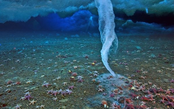 Daniel Vazquez Photography