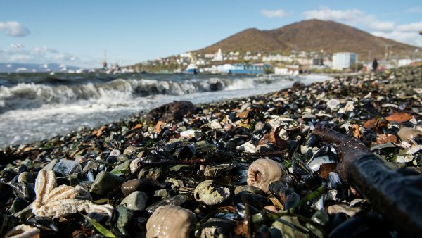 Титаник новая земля фильм