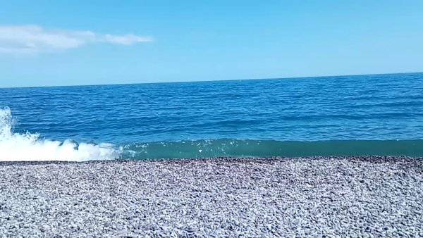 Черное море Алушта