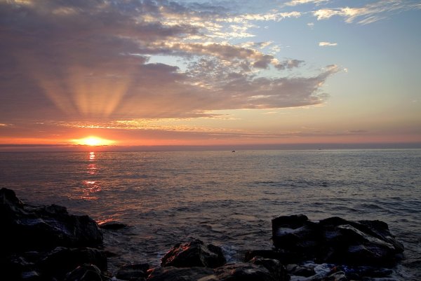 Крым Алушта Профессорский уголок
