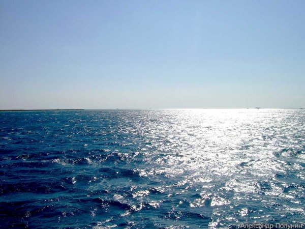 Элегия море Жуковский