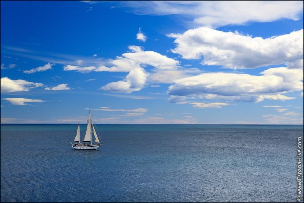 Море Парус Чайки
