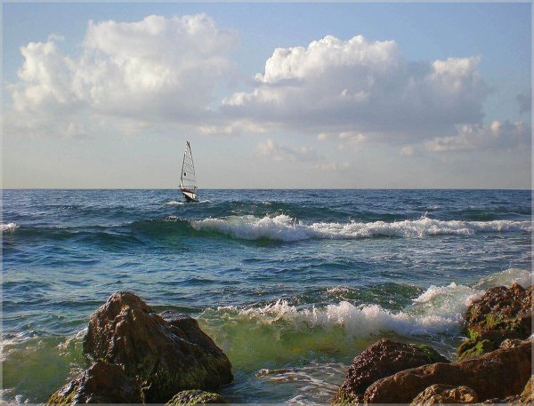 Морской Прибой Крис Крым