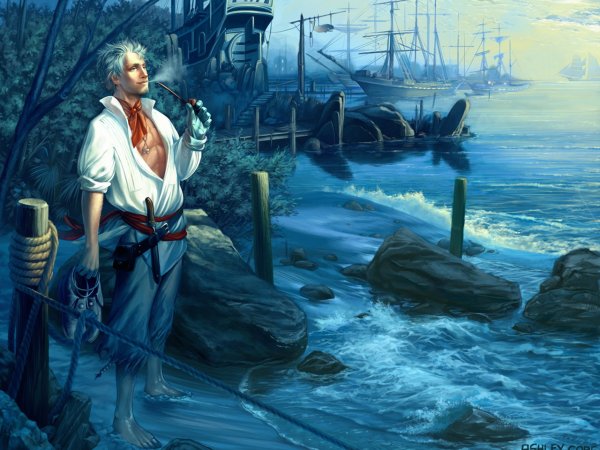 Командиры Капитаны варшипс