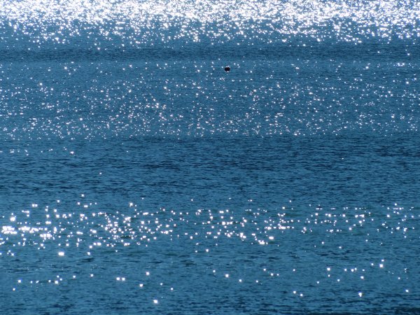 Сверкающее море