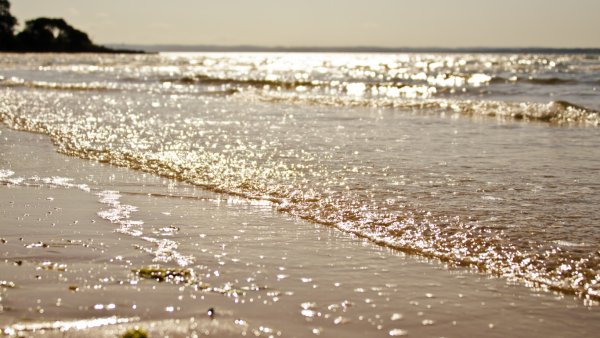 Море блестит