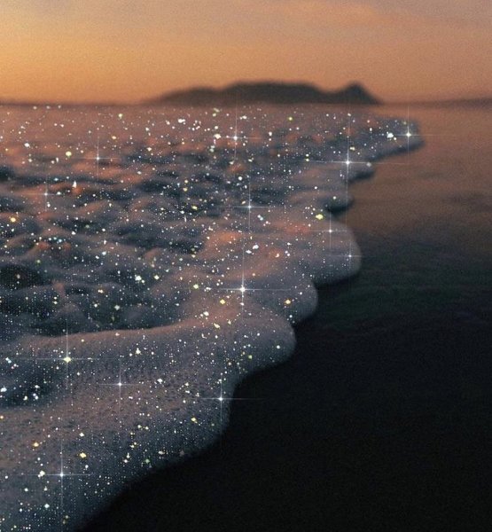 Море Эстетика