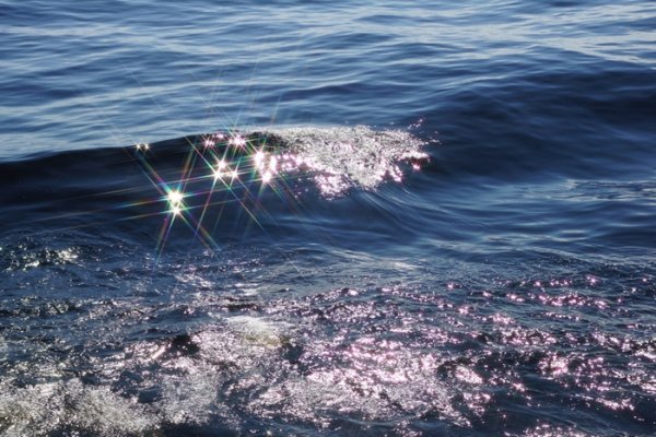 Море блестит