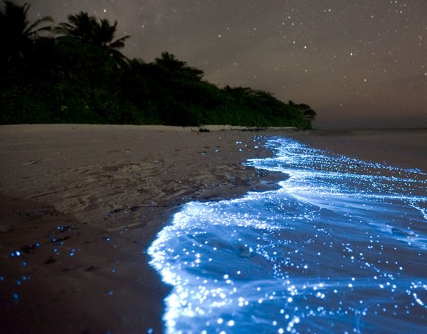 Эстетика моря ночью