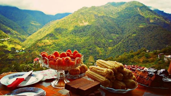 Гостиница в горах Аджарии
