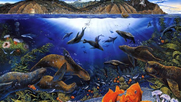 Обитатели океанов для детей