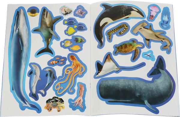 Подводный мир для детей