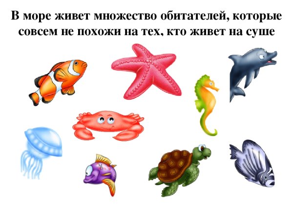 Плакат мир морей и океанов