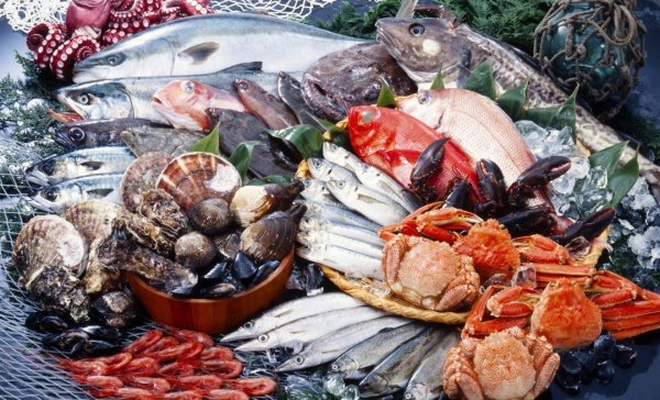 Рыба и морепродукты