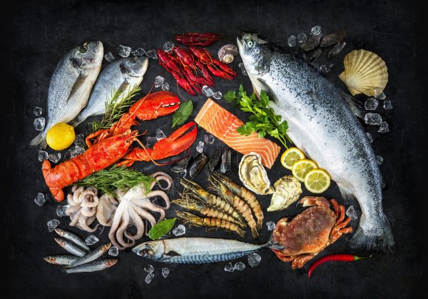Морепродукты фото красивые
