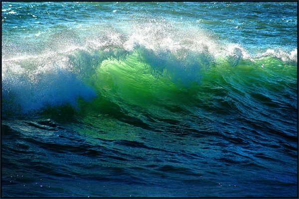 Морской изумруд черного моря