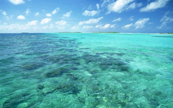 Прозрачное море