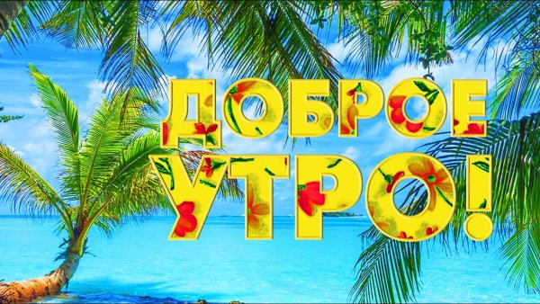 С добрым утром море пальмы