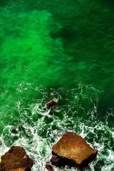 Зеленое море Эстетика