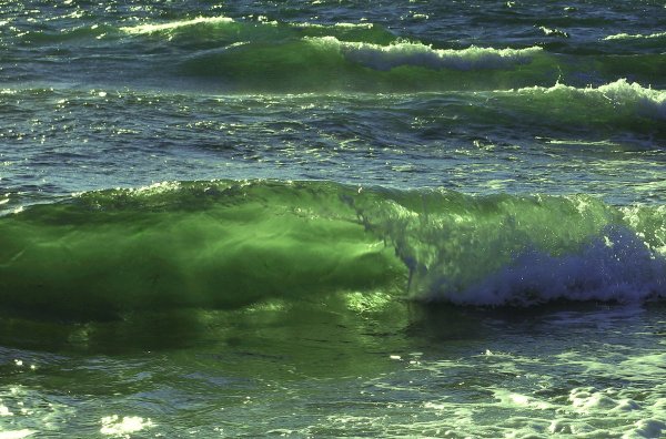 Море зеленого цвета