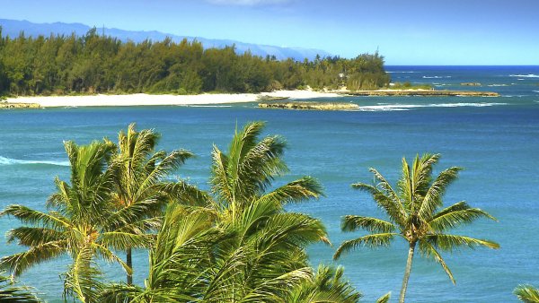 Багамы океан