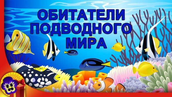 Морские обитатели для дошкольников