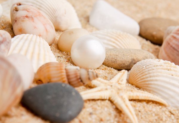 Жемчужина в раковине в море