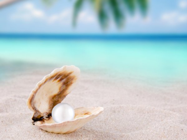 Море песок ракушки камни