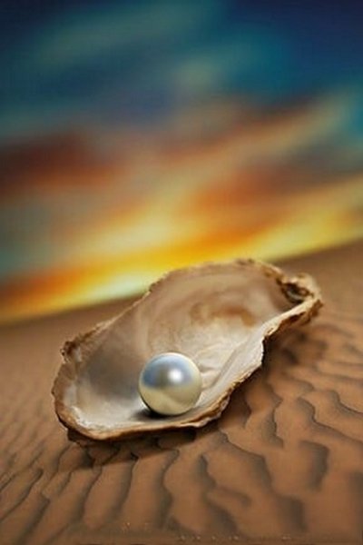 Морские раковины с жемчугом
