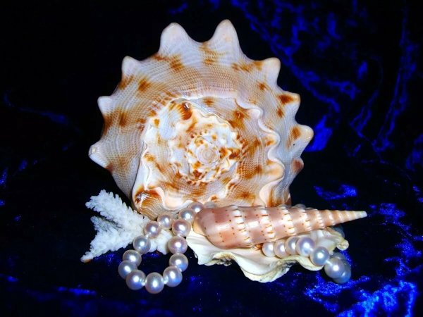 Панно настенное Gracia Ceramica Amalfi Sand panno