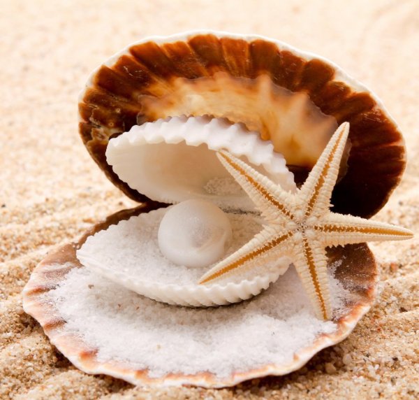 Плитка Фиджи Волгоградский керамический завод