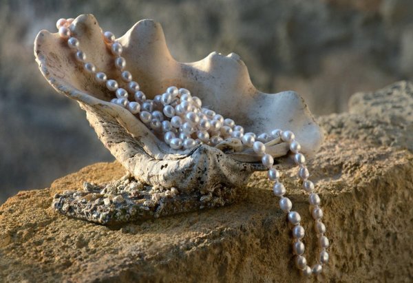 Жемчуг Бурмицкий