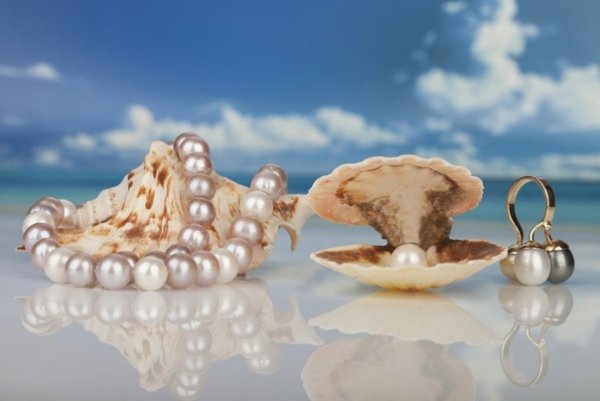 Морская раковина с жемчужиной